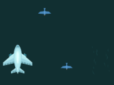 Air Traffic Mania: Bird Strike!