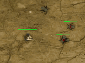 Ascaris Rush