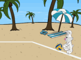Beach Volleyball
