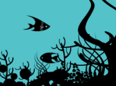 black fish 1 (mine)
