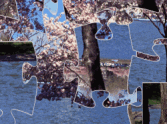 Blooming Cherry Trees Jigsaw