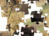 Buffalo Jigsaw