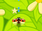 Bugs Attack