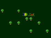 Bugs
