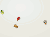 BugTwoThree