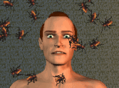Cockroach Dream