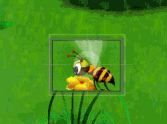 Colony Queen