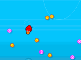 Duckpond Dash