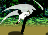 Fierce Fighter