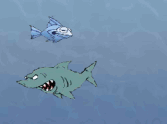 Fish Food