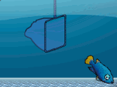 Aquarium Scoop Hotshot