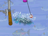 Fishing Champion