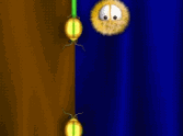 Flalls