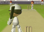 Flash Cricket 2
