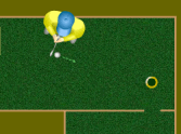 Flash Golf