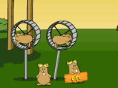 Flight of the Hamsters