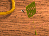 Fly Swatter