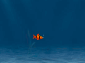 Franky the Fish 2