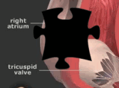 Heart Jigsaw