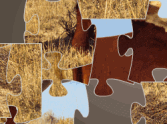 Hereford Bull Jigsaw