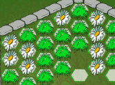 Hexagon Garden