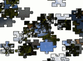 Jigsaw: Lake McDonald