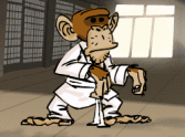 Karate Monkey