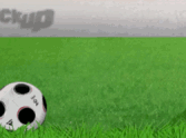 Kick Up