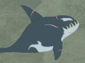 Killer Whale