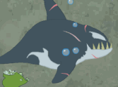 Killer Whale