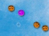 Ladybug