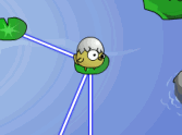 Lilly Hop