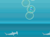 Little Fish in a Big Sea