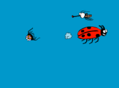 Look Out Lady Bug