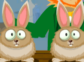 Lucky Bunny