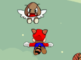 Mario Fly