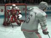 Molson Pro Hockey
