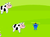 Moooving Cows