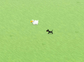 Pasture Panic