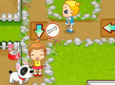 Pet Feeding