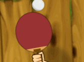 Paddle Ball