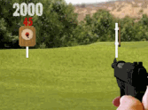 Pistol Training