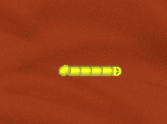 Radioactive Snakes from Mars