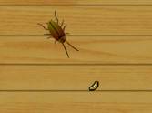 Roachilicious