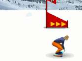 Snowboard Slalom