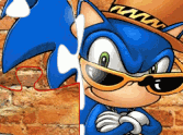 Sonic Jigsaw 1