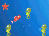 Star Fish