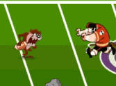 Taz' Football Frenzy