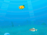 The Trial Of Fish