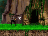 Elite Forces:Jungle
